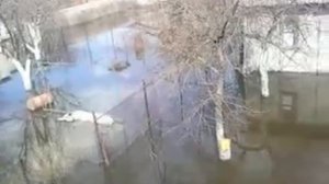 Паводок Воронеж СНТ Мичурина/пос. Безбожник. 13.04.18