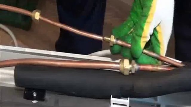 Садовый арт: искусство озеленения участка