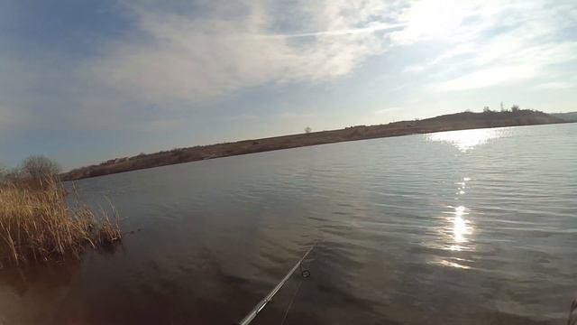 На этот раз работали РАТЛИНЫ