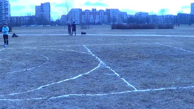 Лазарева Евгения и кокер Блек DREAM GAMES Фестиваль Pitch&Go 05.04.15 смотреть онлайн