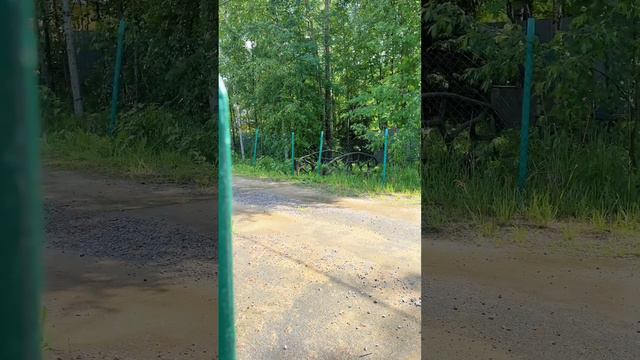 Вместо купальников 😅