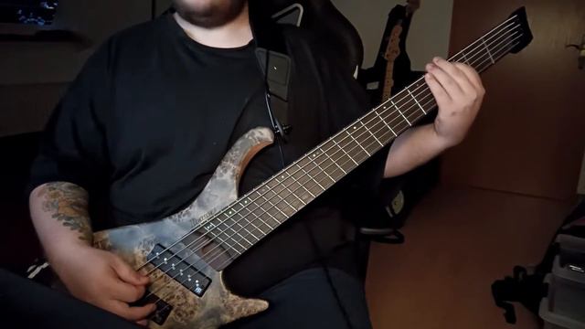 Fall Out Boy - Disloyal Order of Water Buffaloes - Bass Cover смотреть онлайн