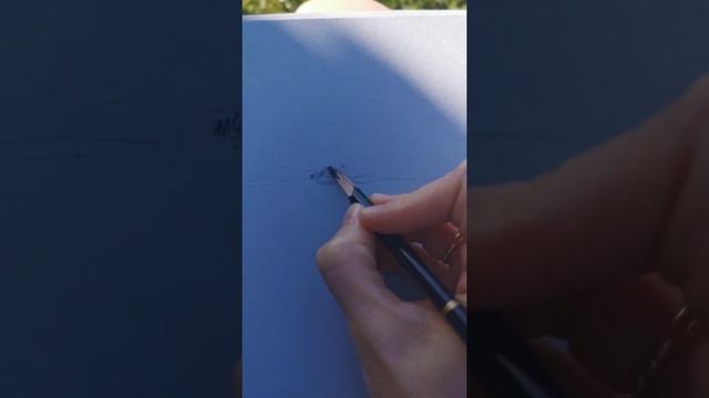 Как нарисовать деревья смотреть онлайн