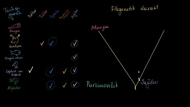 Filogenetik daraxtni tushunish va uni tuzish | Evolyutsiya va filogenetik daraxt | Biologiya смотреть онлайн