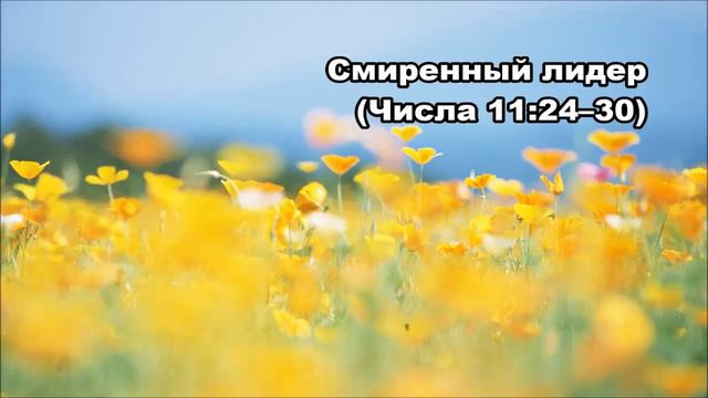 Тихое время с Живой Жизнью: Числа 11:24–35 (05062017) смотреть онлайн