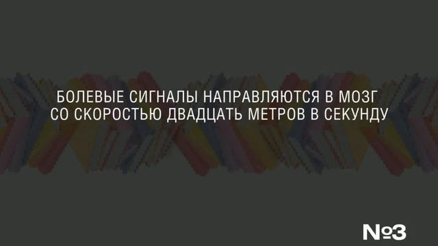 ИНТЕРЕСНЫЕ ФАКТЫ О БОЛИ смотреть онлайн
