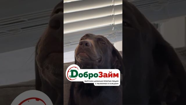 Я пытаюсь сделать 1001 задач одновременно