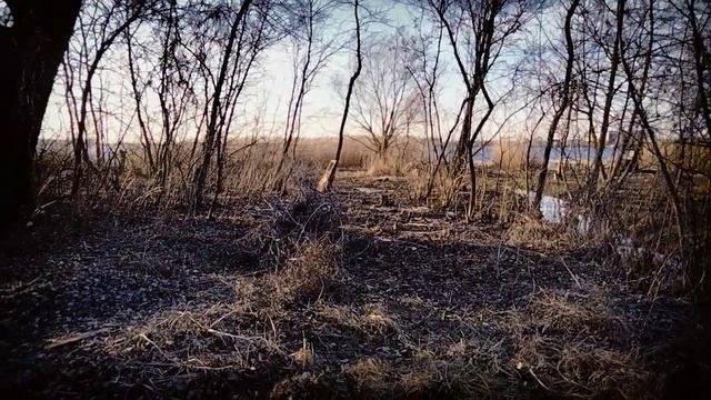 Строительство моста из   использованных шин