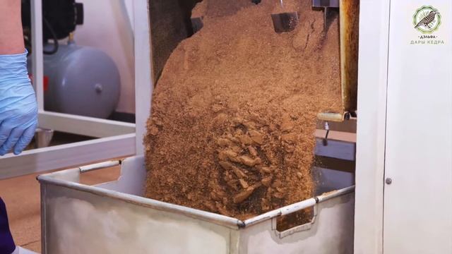 Дэльфа кедровые продукты для здоровья всей семьи смотреть онлайн