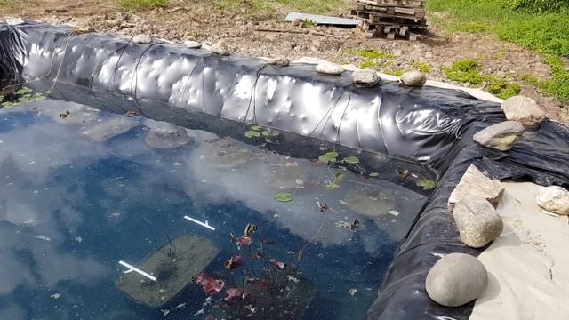 Наши новые пруды для нимфей, кувшинок! Пруд на даче для нимфей, кувшинок!. смотреть онлайн