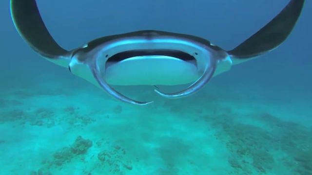 Engineering By Design: China Unveils ‘Magical' Island-Making Ship смотреть онлайн