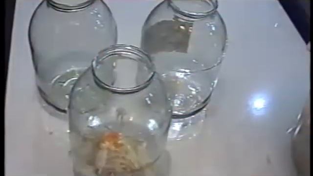 Солёная капуста - АбАлденная смотреть онлайн