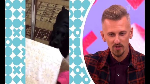 Наш дебют на 1 канале!??? «ВИДЕЛИ ВИДЕО»? Дарья Сибирь & Чёрная Дженни ??? смотреть онлайн