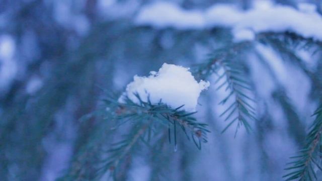 Бабушкин гостинец - Пальцем в небо смотреть онлайн
