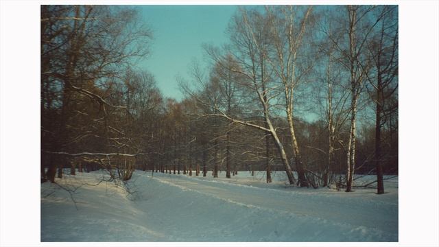 тестирую praktica m10 | ПЛЕНОЧНЫЙ ВЛОГ #1 смотреть онлайн