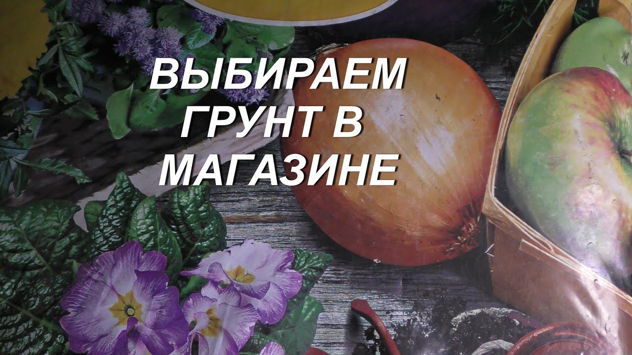 ВЫБОР ГРУНТА В МАГАЗИНЕ смотреть онлайн