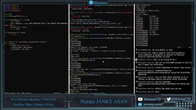 Stream Recording: numpy 0-day hunting with custom fuzzer #5 смотреть онлайн