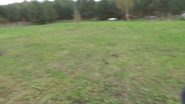 Старт орехового бизнеса в деревне фундук и грецкий орех. Разметка сада и покупка саженцев смотреть онлайн