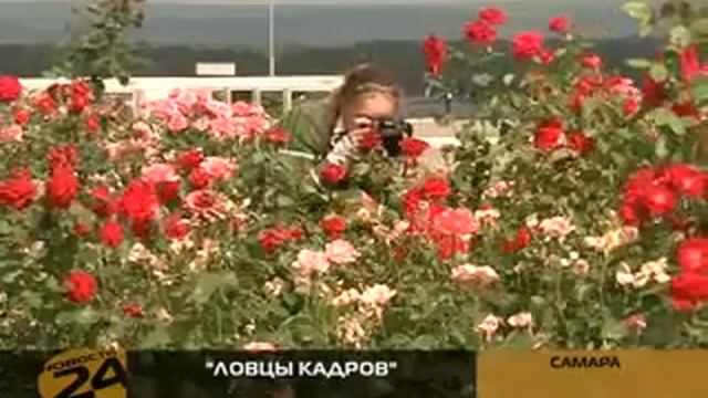 День фотографа смотреть онлайн