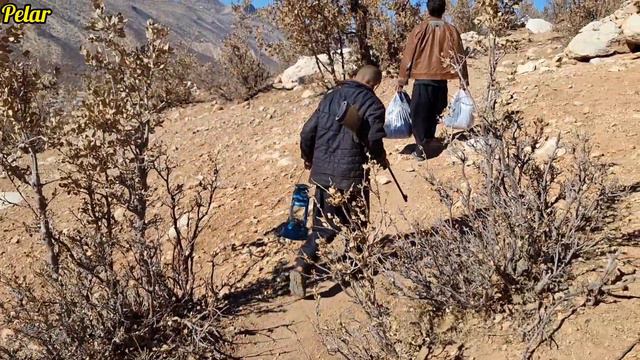 The Storyof The Nomadiclife Of A Motherand Her Sons:exchanging Sheep For Goodsand Family Necessitie