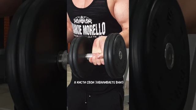 Что делать если забиваются предплечья во время упражнений на бицепс? смотреть онлайн