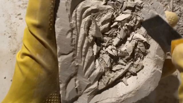 Чаша из глины Акация/Clay plate/ASMR Handmade смотреть онлайн