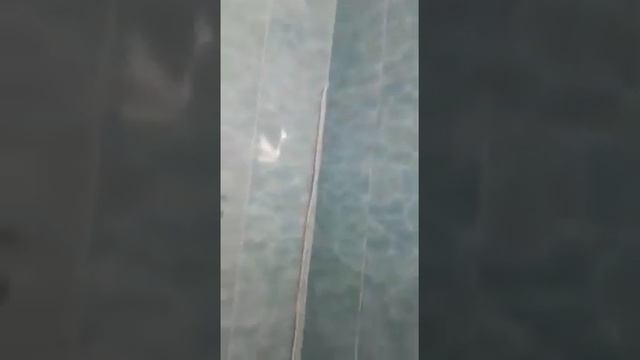 как вам моя работа?под водной мир можно назвать.... смотреть онлайн