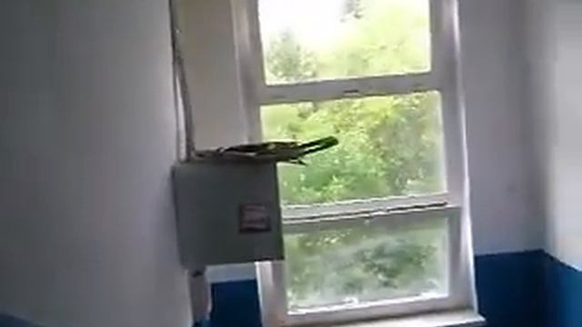 Вот так подготовлен дом к зиме в ходе капремонта г Калуга, ул Маршала Жукова, смотреть онлайн