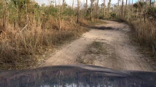 Subaru Tribeca off-road. Beautiful Florida Everglades. смотреть онлайн