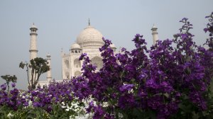 Индийская Инструментальная Музыка в современной обработке / Hauz Khas - Banaras Baba & Kolkata Kid