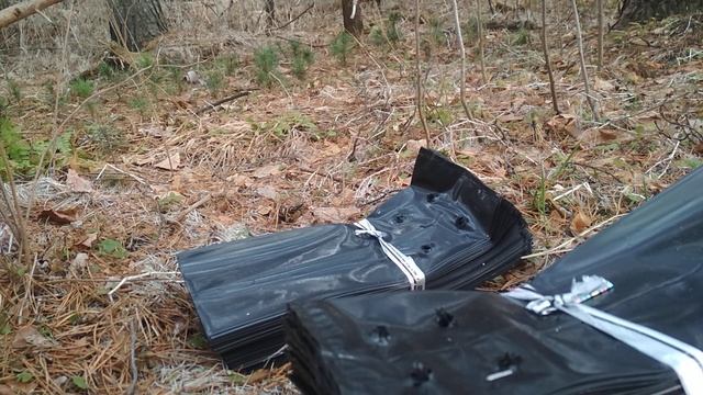 Посылка с пакетами для рассады и саженцев производство Санкт Петербург смотреть онлайн