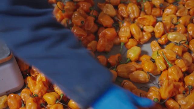 About Royal Food Service смотреть онлайн