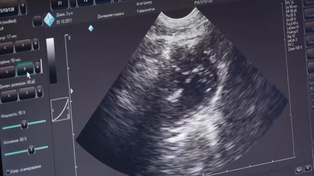 ЗИФ смотреть онлайн