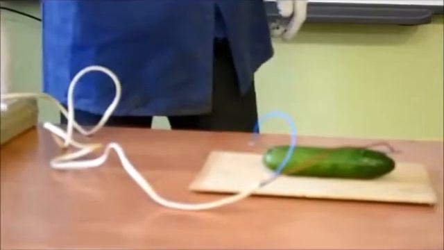 видеоопыт школа 7 рождественские игрушки смотреть онлайн