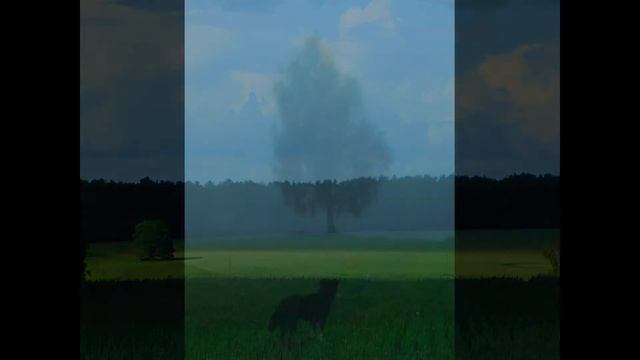 Творчество Анастасии Комаровой смотреть онлайн