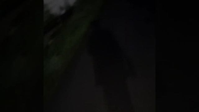 Прогулка По Аравийской пустыне смотреть онлайн