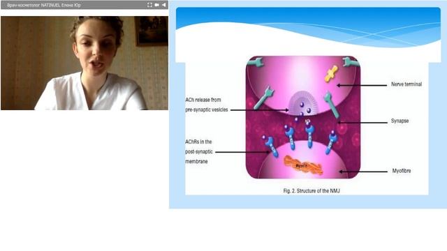 THE LOOK PROFESSIONAL