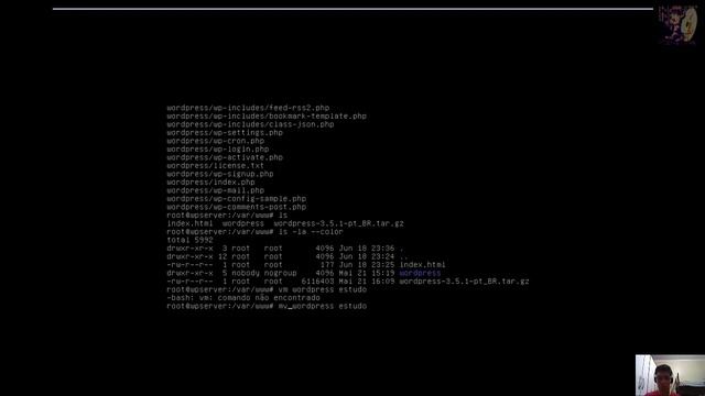 Config Wordpress Local Debian 7 смотреть онлайн