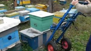 Пчеловодная тележка.