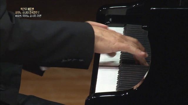 백건우 Kunwoo Paik - Beethoven : Piano Sonata No.25, Op.79 : I. Presto alla tedesca смотреть онлайн