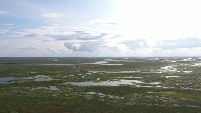 Динамика ландшафтов типичной тундры восточного берега Ямала вблизи поселка Сё-Яха смотреть онлайн