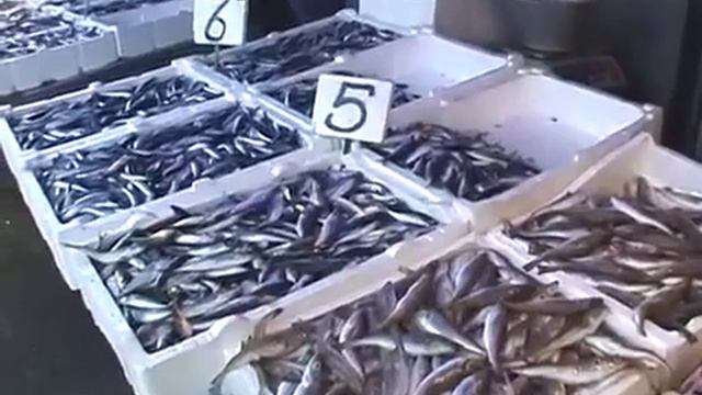 © Рыбный рынок в Трабзоне Турция Fish market in Trabzon Turkey смотреть онлайн