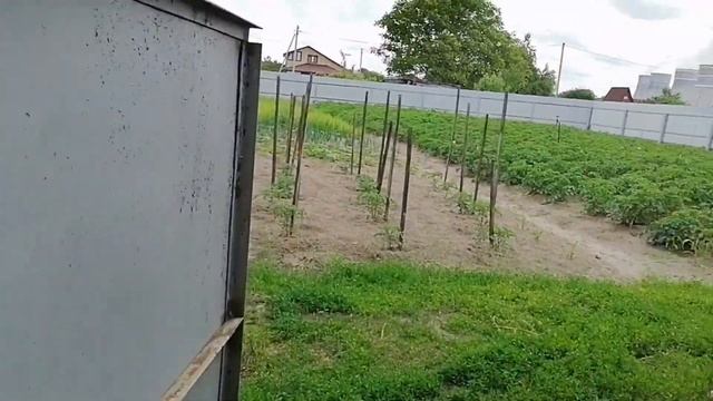 Ура, наше первое день рождение, нам 1 год? смотреть онлайн