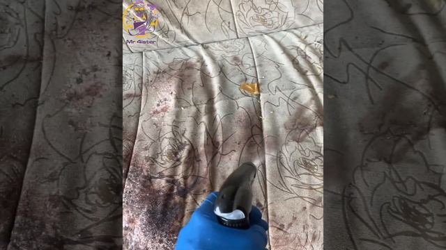 Химчистка мягкой мебели, ковров и матрацев в Оренбурге смотреть онлайн