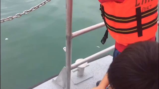 Fish Feeding @ Lexis Hibiscus Port Dickson смотреть онлайн