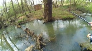 Динамичная ловля крупной уклейки на красивой весенней реке! + секретный способ ловли на течении