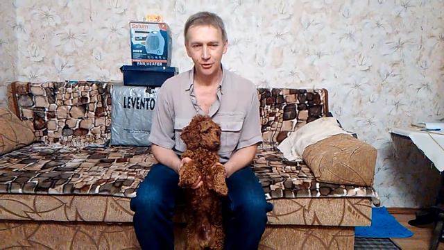 Сергей Чикаев (Бонд, 1 год) смотреть онлайн