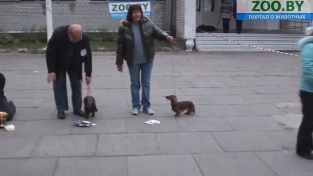 FCI-4 смотреть онлайн