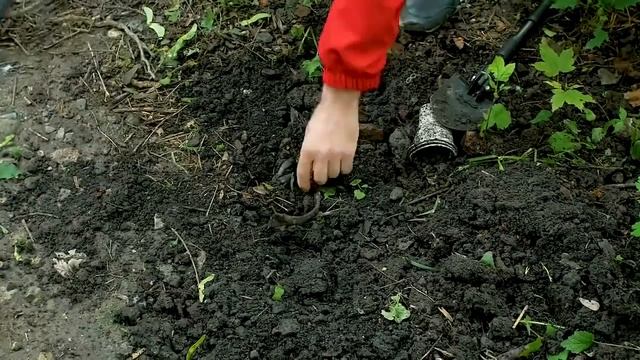 Что можно найти металлоискателем из Китая? Профессиональный металлоискатель с Aliexpress смотреть онлайн