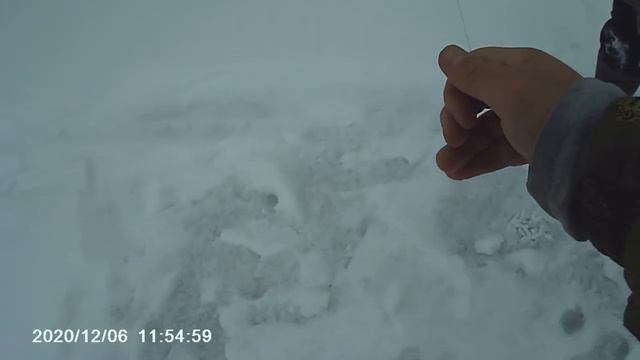 ФЛАШКИ ВЗЛЕТАЮТ, ПАЛЬЦЫ КУСАЮТ,ЖИВЦЫ ОТЛЕТАЮТ,РЫБАЛКА НА РЕКЕ БАТЮШКА ЧУЛЫМ! смотреть онлайн